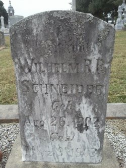 Wilhelm R R Schneider 