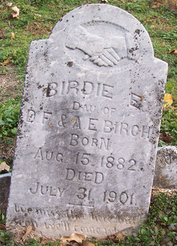 Birdie E Birch 