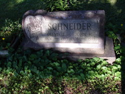 John Henry Schneider 