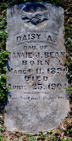 Daisy A. Bean 