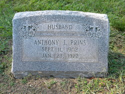 Anthony J Prins 
