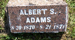 Albert S Adams 