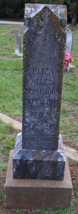 Eliza <I>Huggins</I> Allen 