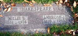 Ambrose John Shakespeare 