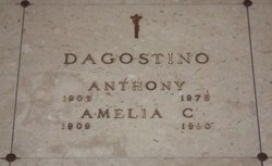 Amelia <I>Niccoletti</I> D'Agostino 