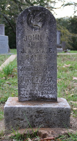 John A Banks 