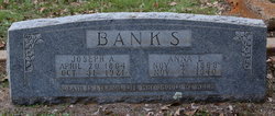 Joseph Amos Banks 