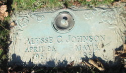 Alysse C Johnson 
