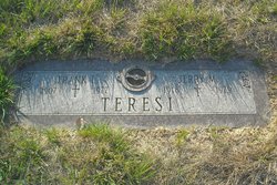 Jerry M Teresi 