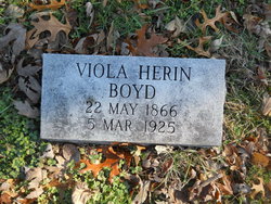 Viola <I>Herin</I> Boyd 