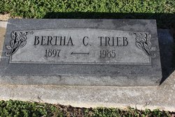 Bertha C. <I>Zink</I> Trieb 