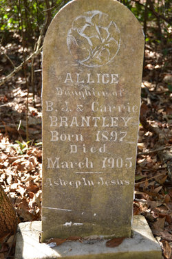 Allice Brantley 