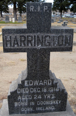 Edward Harrington 