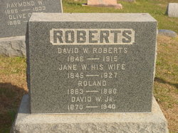David W Roberts Jr.