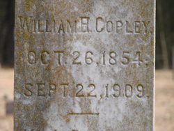 William Henry Copley 