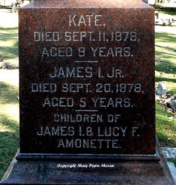 James Ira Amonette Jr.