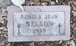 Pamela Jean Nelson 