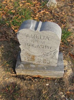 Amelia <I>McNeary</I> Ashby 