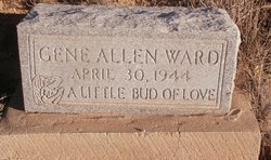 Gene Allen Ward 