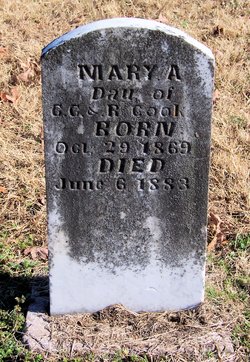 Mary Ann Cook 