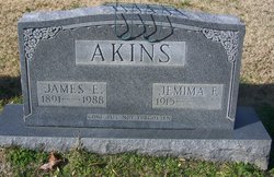 James Edward Akins 