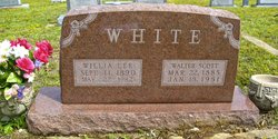 Walter Scott Ebble White 