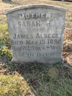 Sarah E. Albeck 