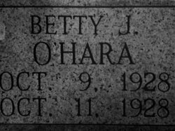Betty J O'Hara 