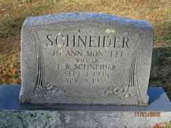 Jo Ann <I>Monnett</I> Schneider 