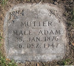 Male Adam 