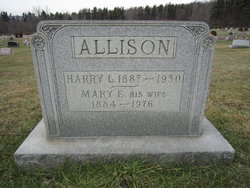 Mary Ellen <I>Berkey</I> Allison 