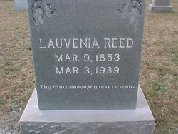 Lauvenia <I>Traweek</I> Reed 