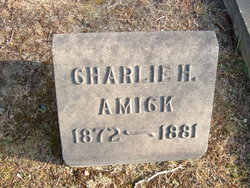 Charles Howard Amick 