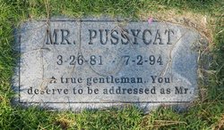 Mr. Pussycat 