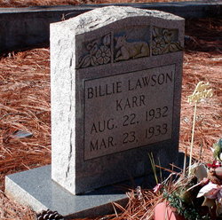 Billie Lawson Karr 