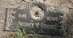 Audrey V Fender 