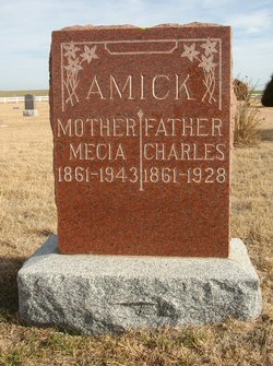 Charles Washington Amick 