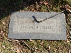 Fanny Elizabeth <I>Calhoun</I> Collett 