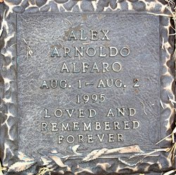 Alex Arnoldo Alfaro 