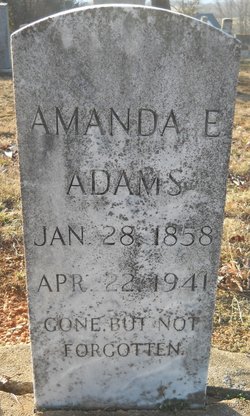 Amanda E Adams 