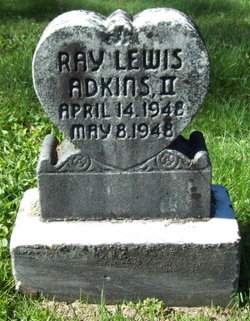 Ray Lewis Adkins II