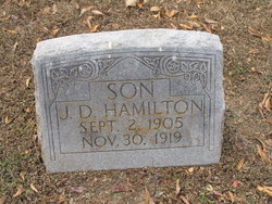 J D Hamilton 