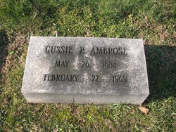Gussie P. Ambrose 