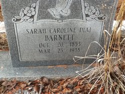 Sarah Caroline <I>Dial</I> Barnett 
