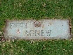 Albert Edward Agnew 