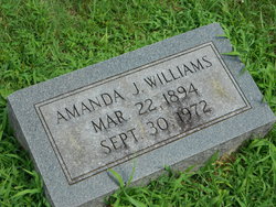 Amanda Jane <I>McDougal</I> Williams 