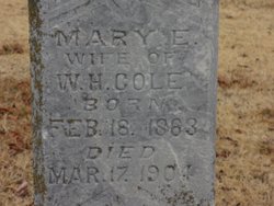 Mary Ellen <I>Wilkerson</I> Cole 