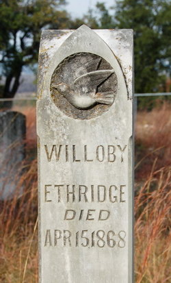 Willoughby Ethridge 