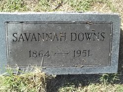 Susan A Savannah <I>Hibbard</I> Downs 