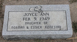 Joyce Ann Finnestad 